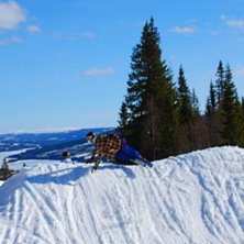 Lite suddig, men &auml;nd&aring; fin :). Foto: Anton Lundborg. &Aring;kare: Anton Villberg.
