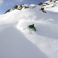 hittade en sv&auml;ng. Foto: Frans Karlsson. &Aring;kare: Robert Jarlen&auml;s.
