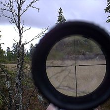 Foto: Petter Sjaggo.