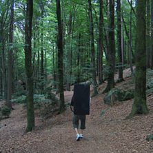 P&aring;v&auml;g in i skogen f&ouml;r en dag av bouldering . Foto: Ameli Hellner. &Aring;kare: j.sturesson.