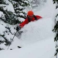 Foto: morten pedersen.