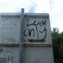 locals only.. haha. Foto: anton nystr&ouml;m.