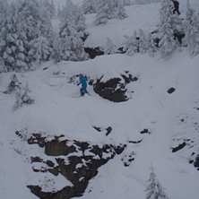 &Aring;kare: Ulf Sj&ouml;holm.
