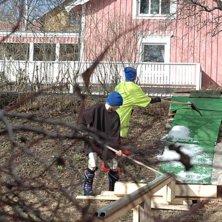 oink. Foto: ct axelsson. &Aring;kare: lyynum, ALLEa.