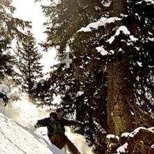 Mitt i skogen p&aring; v&auml;g ner mot Gr&uuml;newalds t&aring;gsta. Foto: Fredrik Ludvigsson. &Aring;kare: Sveinung Svendsen.