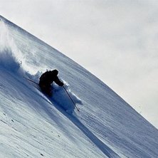 Foto: Eric Spongberg. &Aring;kare: Annika Spongberg.