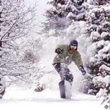 Foto: Stefan Brod&eacute;n. &Aring;kare: Clovis.