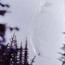 Foto: Stefan Brod&eacute;n. &Aring;kare: Erik.