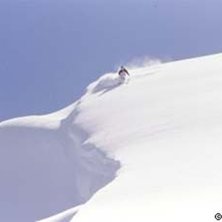 Foto: Stefan Brod&eacute;n. &Aring;kare: Dave.