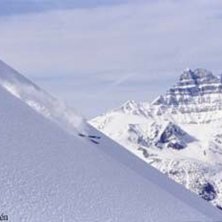 Foto: Stefan Brod&eacute;n. &Aring;kare: Steve.