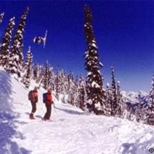 Foto: Stefan Brod&eacute;n. &Aring;kare: Laura.