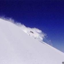 Foto: Stefan Brod&eacute;n. &Aring;kare: Steve.