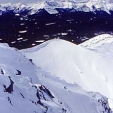 Foto: Stefan Brod&eacute;n. &Aring;kare: Steve.