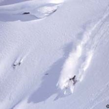 Foto: Stefan Brod&eacute;n. &Aring;kare: Steve.