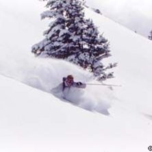 Foto: Stefan Brod&eacute;n. &Aring;kare: Kevin.