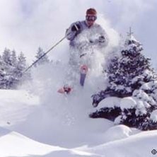 Foto: Stefan Brod&eacute;n. &Aring;kare: Kevin.