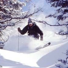 Foto: Stefan Brod&eacute;n. &Aring;kare: Steve.