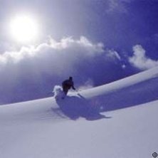 Foto: Stefan Brod&eacute;n. &Aring;kare: Kevin.