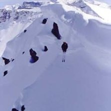 Foto: Stefan Brod&eacute;n. &Aring;kare: Loui.