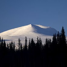 Foto: Patrik Brynielsson.