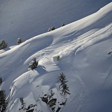 Foto: Rikard Landrin. Foto: Rikard Landrin.