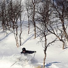 Foto: Joakim Jansson. &Aring;kare: Joel Snickars.