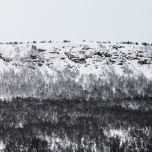 Akta diket n&auml;r ni beundrar r&auml;nnorna fr&aring;n v&auml;gen. Foto: Petter Elfsberg.