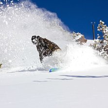 Foto: Daniel Persson. &Aring;kare: Daniel Persson.