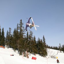 cork tail. Foto: pap. &Aring;kare: Mikkel J&oslash;raandstad.