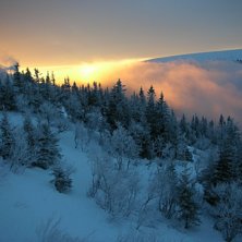 Morgonen dagen innan Julafton. Foto: Jenisis.