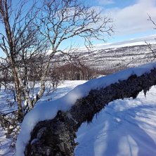 Puder &auml;r alltid trevligt..
