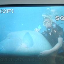 n&auml;r jag var o d&ouml;k p&aring; barri&auml;rrevet utanf&ouml;r Cai. Foto: Petter Claesson. &Aring;kare: Anders Axelsson.