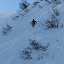 Foto: Lars Dandanell. &Aring;kare: Erik Dandanell.