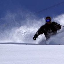 Patient l&auml;gger n&aring;gra sk&ouml;na eftermiddagssv&auml;ngar. Foto: Kristian Tullh&ouml;g. &Aring;kare: Chris Patient.