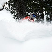 Foto: Johan Palmqvist. &Aring;kare: Henrik Pettersson.