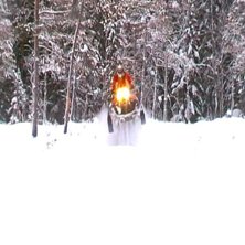 &ouml;rn&ouml;!. Foto: Nils-&Aring;ke Petterson. &Aring;kare: Roland J&auml;rverud.