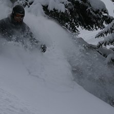 p&aring;sk med Skogs&aring;kning. Foto: Pea edvardsson. &Aring;kare: Erik.