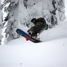 Foto: Bj&ouml;rn Svensson. &Aring;kare: Olle Bjerke.