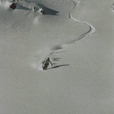 Foto: Magnus Svensson. &Aring;kare: Johan Isaksson.
