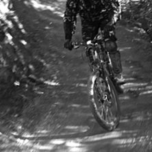 Flinbanan... Foto: Roger Hansson. &Aring;kare: Mikaela Sunneg&aring;rdh.