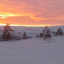 solen p&aring; vei ned  mann blir nesten r&oslash;rt.
Miner o.