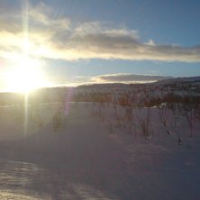 s&aring; j&auml;vla fint.. Foto: David Orstam. &Aring;kare: David Orstam.