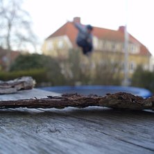 Skall man bygga en barkb&aring;t eller ?? 720 mute... Foto: Jonatan Lindgren (auto). &Aring;kare: Jonatan Lindgren.