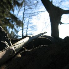 Vilket ni f&ouml;rmodligen ser &auml;r detta ingen vinterb. Foto: Niklas. &Aring;kare: Pinnen.