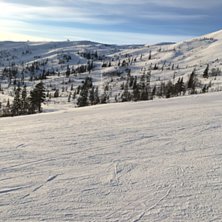 Ikke glem solbrillene i dag!!!????
.