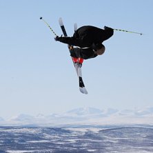 Bluebird i parken. Foto: Acke vig. &Aring;kare: Jens Nilsson.