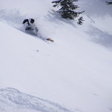 Foto: Antti Suhonen. &Aring;kare: Ted Wennstr&ouml;m.