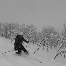 Efter ett 40 cm dump gick det fortfarande att hitt. Foto: Jimmy Berglund. &Aring;kare: Michael Spendel.