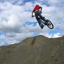 Whip. Foto: Dahlgren. &Aring;kare: JEppe.