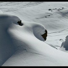Foto: Joakim Bergqvist. &Aring;kare: Niklas Sandeberg.